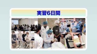 実習6日間コース