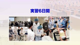 実習6日間コース