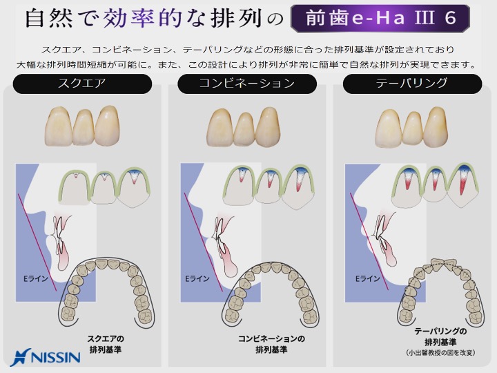 自然で効率的な排列の前歯e-Ha Ⅲ 6