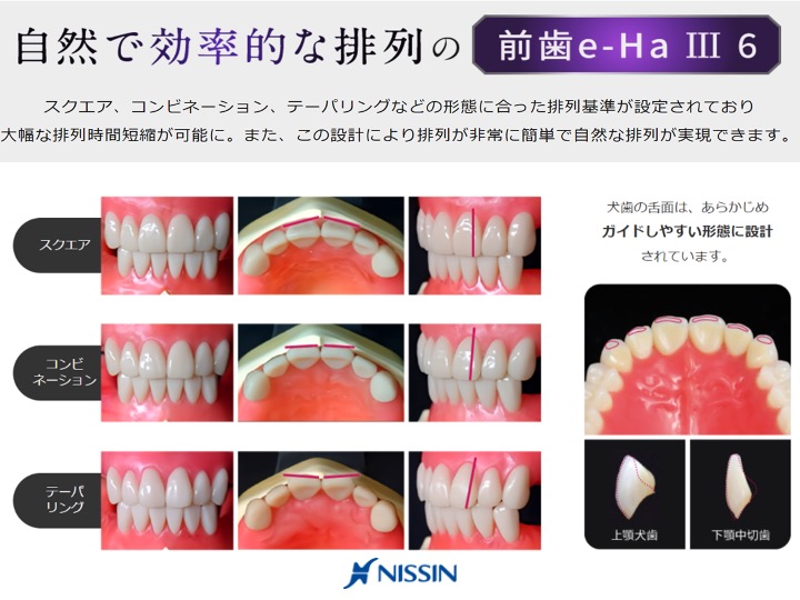 自然で効率的な排列の前歯e-Ha Ⅲ 6