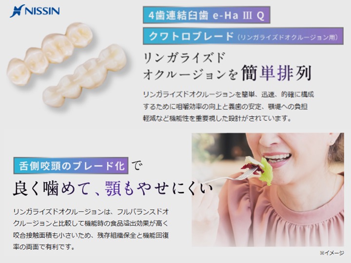 4歯連結臼歯　e-HaⅢ Q
