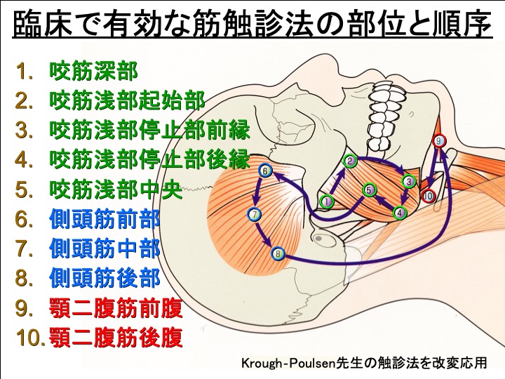 臨床で有効な筋触診法の部位と順序