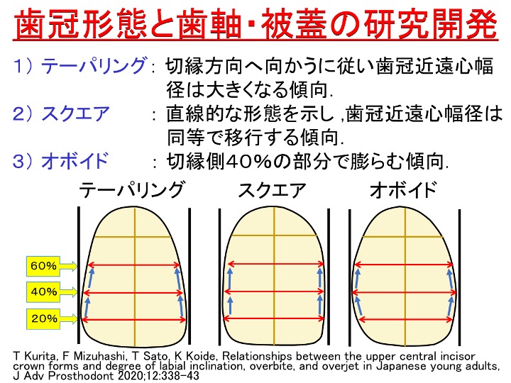 歯冠形態と歯軸・被蓋の研究開発